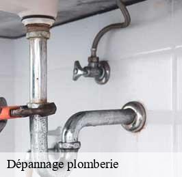 Dépannage plomberie 59 Nord  CK Plombier