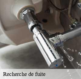 Recherche de fuite 59 Nord  CK Plombier