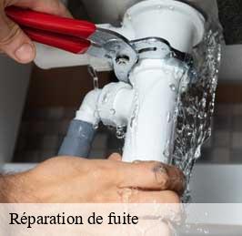 Réparation de fuite 59 Nord  CK Plombier