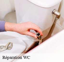 Réparation WC 59 Nord  CK Plombier