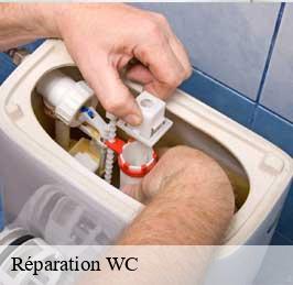 Réparation WC 59 Nord  CK Plombier