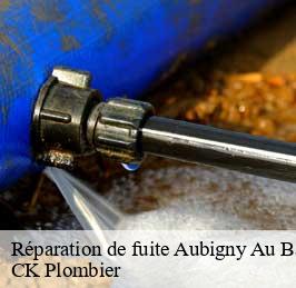Réparation de fuite  aubigny-au-bac-59265 CK Plombier