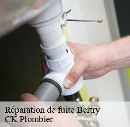 Réparation de fuite  bertry-59980 CK Plombier