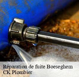 Réparation de fuite  boeseghem-59189 CK Plombier