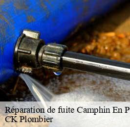 Réparation de fuite  camphin-en-pevele-59780 CK Plombier