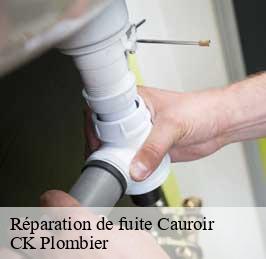 Réparation de fuite  cauroir-59400 CK Plombier