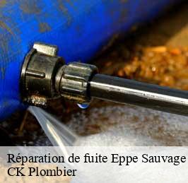 Réparation de fuite  eppe-sauvage-59132 CK Plombier