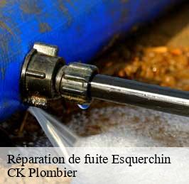 Réparation de fuite  esquerchin-59553 CK Plombier