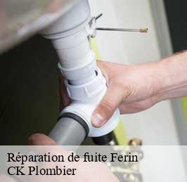 Réparation de fuite ferin-59169 CK Plombier