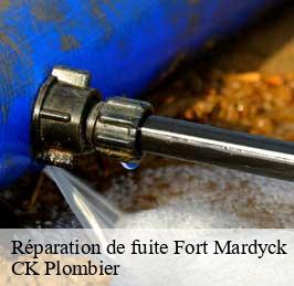 Réparation de fuite  fort-mardyck-59430 CK Plombier