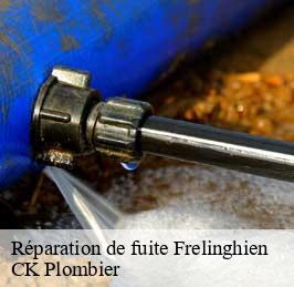 Réparation de fuite  frelinghien-59236 CK Plombier