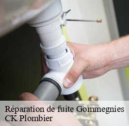 Réparation de fuite  gommegnies-59144 CK Plombier
