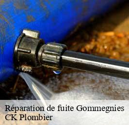 Réparation de fuite  gommegnies-59144 CK Plombier