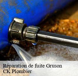 Réparation de fuite  gruson-59152 CK Plombier
