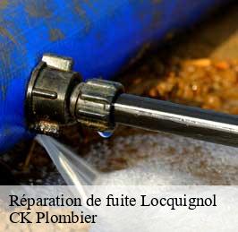 Réparation de fuite  locquignol-59530 CK Plombier