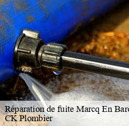Réparation de fuite  marcq-en-baroeul-59700 CK Plombier