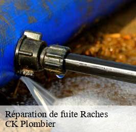 Réparation de fuite  raches-59194 CK Plombier