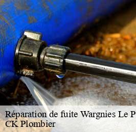 Réparation de fuite  wargnies-le-petit-59144 CK Plombier