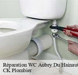 Réparation WC  aubry-du-hainaut-59494 CK Plombier