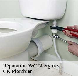 Réparation WC  niergnies-59400 CK Plombier