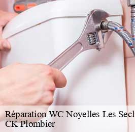 Réparation WC  noyelles-les-seclin-59139 CK Plombier