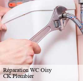 Réparation WC  oisy-59195 CK Plombier