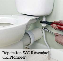 Réparation WC  rosendael-59240 CK Plombier
