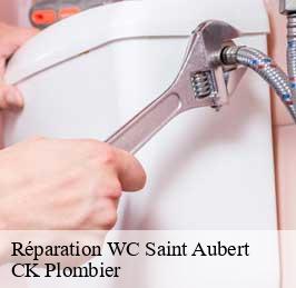 Réparation WC  saint-aubert-59188 CK Plombier