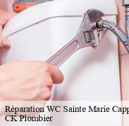 Réparation WC  sainte-marie-cappel-59670 CK Plombier