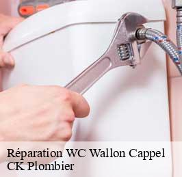 Réparation WC  wallon-cappel-59190 CK Plombier