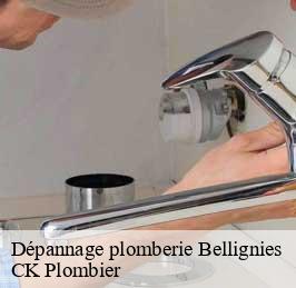 Dépannage plomberie  bellignies-59570 CK Plombier