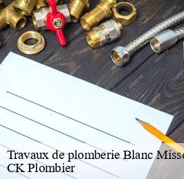 Travaux de plomberie  blanc-misseron-anf-59154 CK Plombier