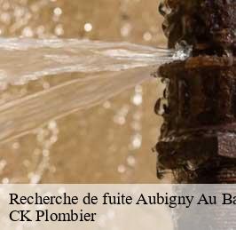 Recherche de fuite  aubigny-au-bac-59265 CK Plombier