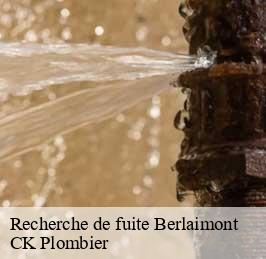Recherche de fuite  berlaimont-59145 CK Plombier