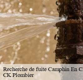 Recherche de fuite  camphin-en-carembault-59133 CK Plombier