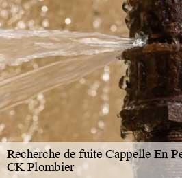 Recherche de fuite  cappelle-en-pevele-59242 CK Plombier