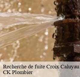 Recherche de fuite  croix-caluyau-59222 CK Plombier