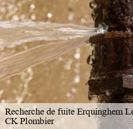 Recherche de fuite  erquinghem-le-sec-59320 CK Plombier