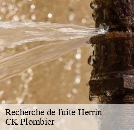 Recherche de fuite  herrin-59147 CK Plombier