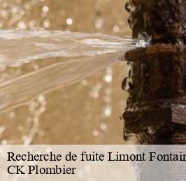 Recherche de fuite  limont-fontaine-59330 CK Plombier