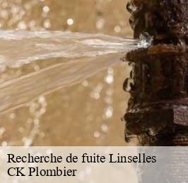 Recherche de fuite linselles-59126 CK Plombier