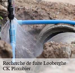 Recherche de fuite  looberghe-59630 CK Plombier