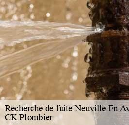 Recherche de fuite  neuville-en-avesnois-59218 CK Plombier