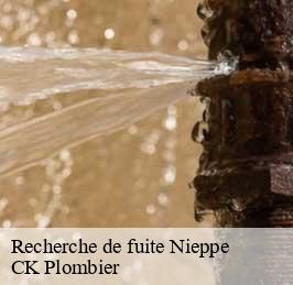 Recherche de fuite  nieppe-59850 CK Plombier