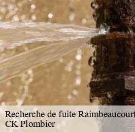 Recherche de fuite raimbeaucourt-59283 CK Plombier