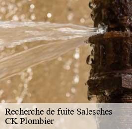 Recherche de fuite  salesches-59218 CK Plombier