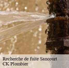 Recherche de fuite  sancourt-59265 CK Plombier