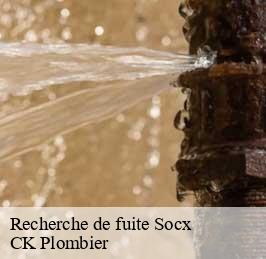 Recherche de fuite  socx-59380 CK Plombier