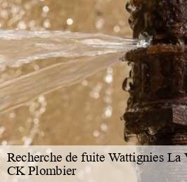 Recherche de fuite  wattignies-la-victoire-59680 CK Plombier