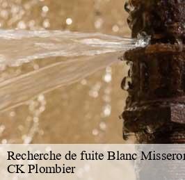 Recherche de fuite  blanc-misseron-anf-59154 CK Plombier
